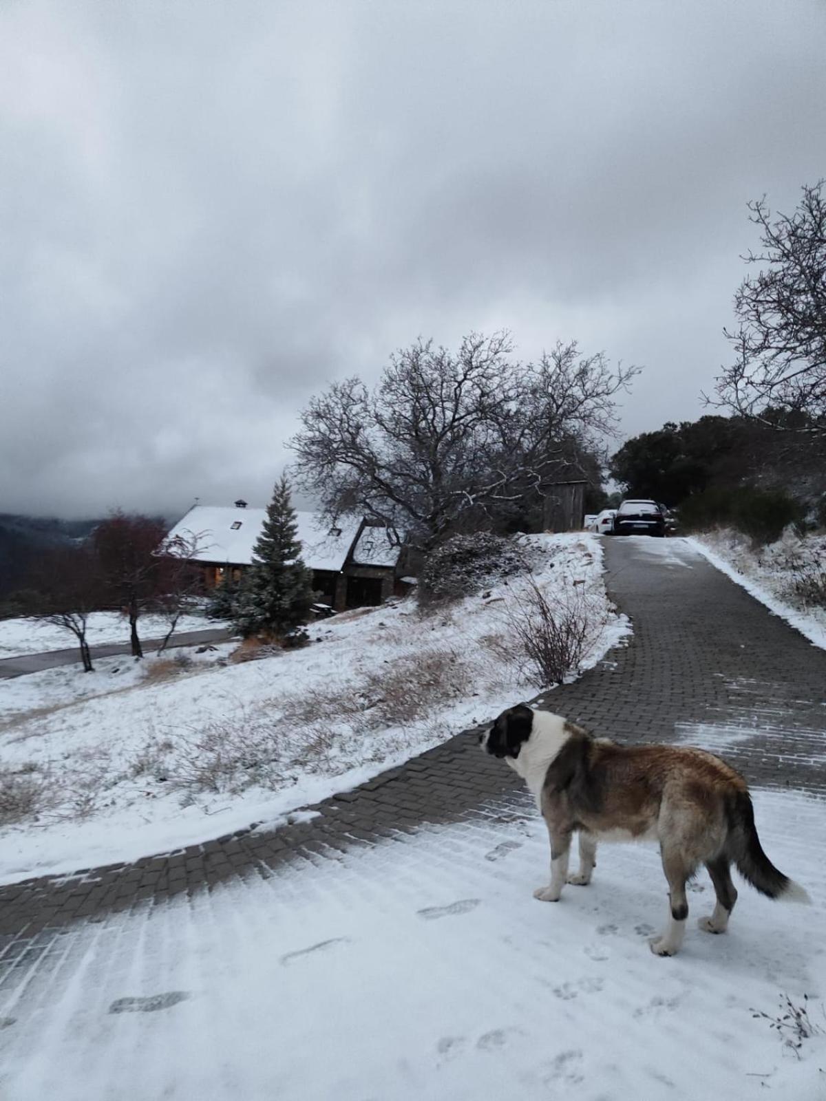 Refugio Del Aguila "Casa Diaman" ξενώνας Guejar-Sierra Εξωτερικό φωτογραφία