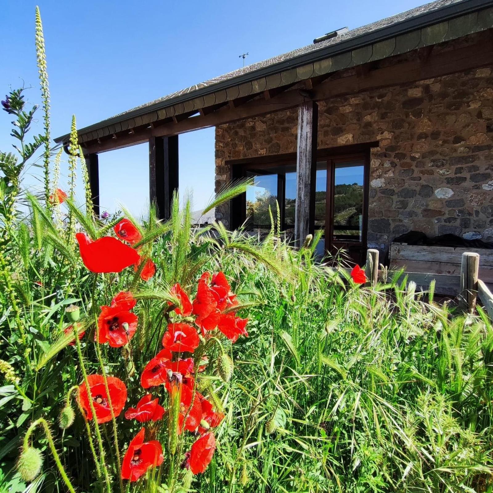 Refugio Del Aguila "Casa Diaman" ξενώνας Guejar-Sierra Εξωτερικό φωτογραφία