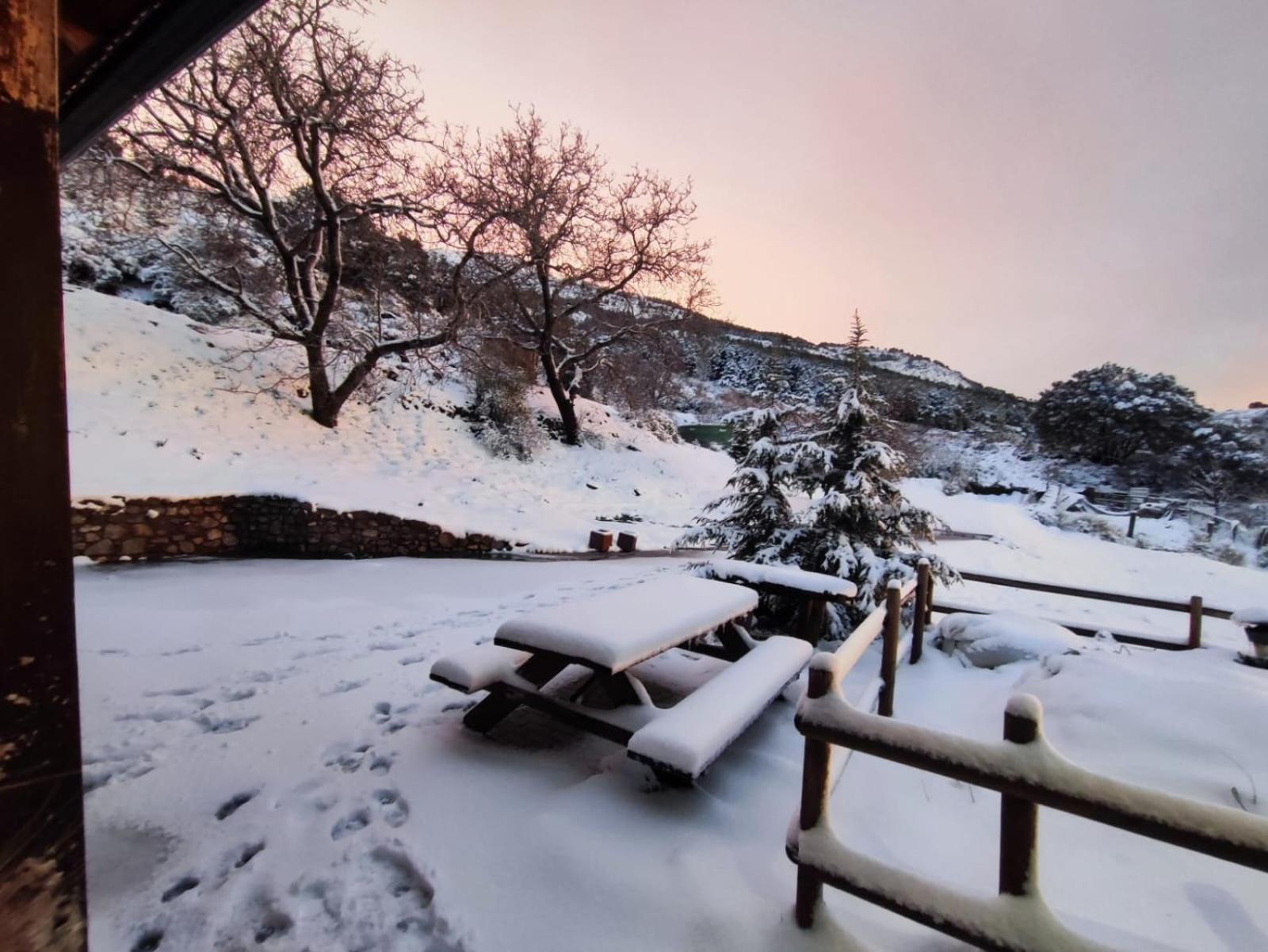 Refugio Del Aguila "Casa Diaman" ξενώνας Guejar-Sierra Εξωτερικό φωτογραφία